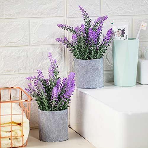 Cadnly Artificial Lavender Plant In Pots - Faux Lavender Artificial Flowers - Fake Lavender Plants Potted – Modern Farmhouse Flower Decor - Purple Lavender Decor For Bathroom Bedroom Kitchen Set Of 2 #TOP7
