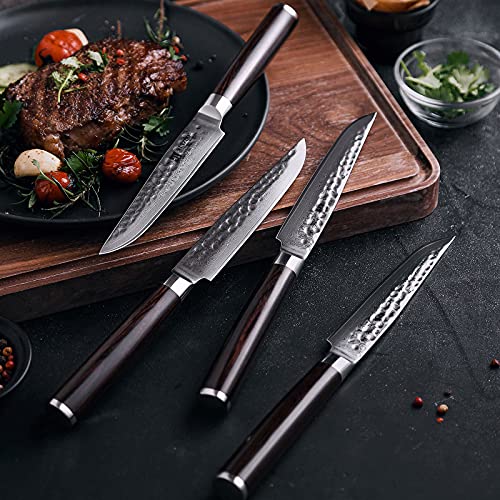 Damast Steakmesser Set XINZUO 4-teilig mit 12,4 cm Klingenlänge