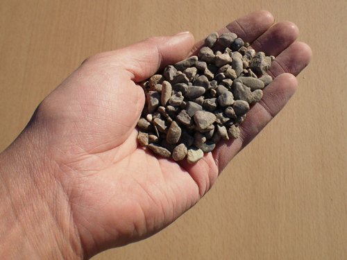 サニー　カムイピリカ12kg(3kg×4袋) サニー様専用 カムイピリカ12kg(3kg×4袋)