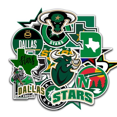 25 PCS Dallas American Stars Hockey Stickers for Water Bottle, Laptop, Bicycle, Computer, Motorcycle, Travel Case, Car Decal Decoration Sticker