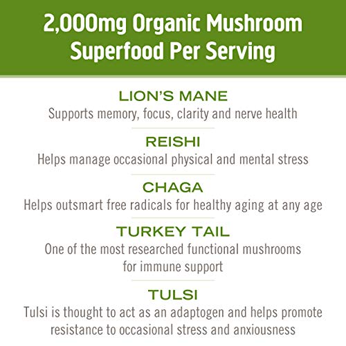 Om Mushroom Superfood Matcha Latte Blend Mushroom Powder, Single Serve, 10 Count, Green Tea, Lion's Mane, Reishi, Chaga, Turkey Tail, Focus & Stress Support Supplement #TOP6