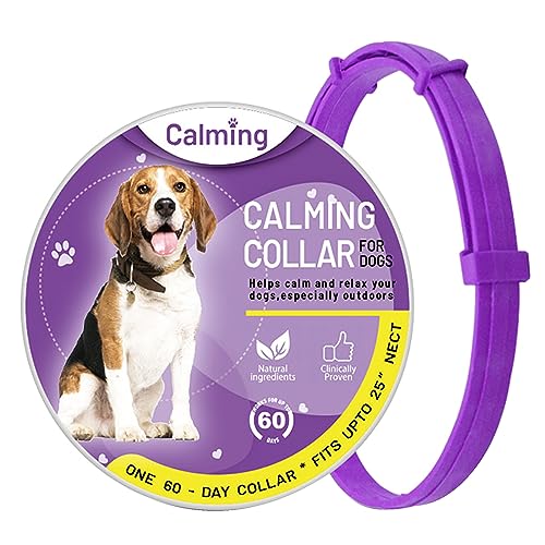 Collier Anti-Stress Apaisement Et Bien-être Pour Chatons Et Chats F Fr 175320