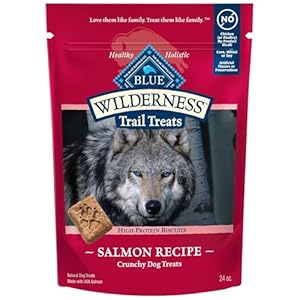Blue Buffalo Wilderness Trail Treats Crunchy Dog Biscuits, Grain-Free and High-Protein Dog Treats Made with Natural Ingredients, Salmon Recipe 24-oz. Bag