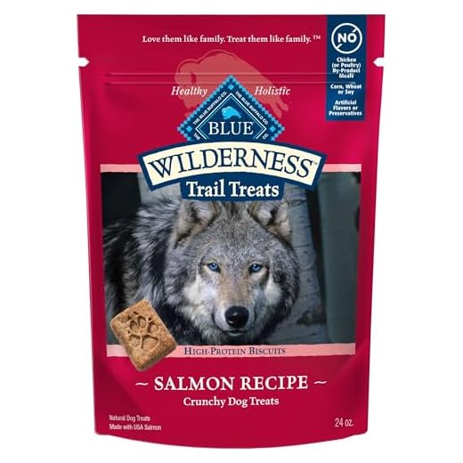 Blue Buffalo Wilderness Trail Treats Crunchy Dog Biscuits, Grain-Free and High-Protein Dog Treats Made with Natural Ingredients, Salmon Recipe 24-oz Bag