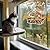 Outdoor Window Bird Feeder for Cats Viewing - Clear Bird Feeder with Strong Suction Cup, Cat Perch Accessories for Entertaining Watching, S