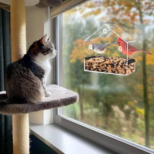 Outdoor Window Bird Feeder for Cats Viewing - Clear Bird Feeder with Strong Suction Cup, Cat Perch Accessories for Entertaining Watching, S by MEWTOGO - Image 7