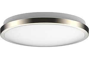 DYMOND Dimmable LED Light Fixture, 10 inches, Warm White