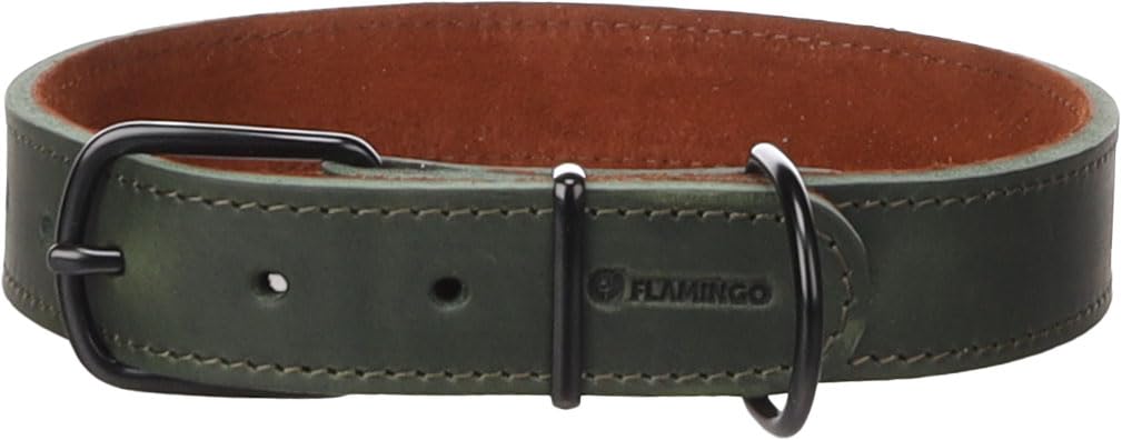Collier Montana Vert XL pour grand chien de 47,5 à 58 cm de cou