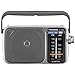 Panasonic Rf-2400D Am/FM Radio, Silver/Grey