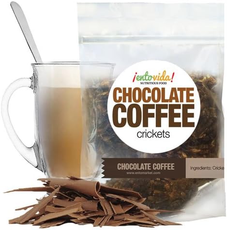 Edible Insects | Chocolate Coffee Crickets