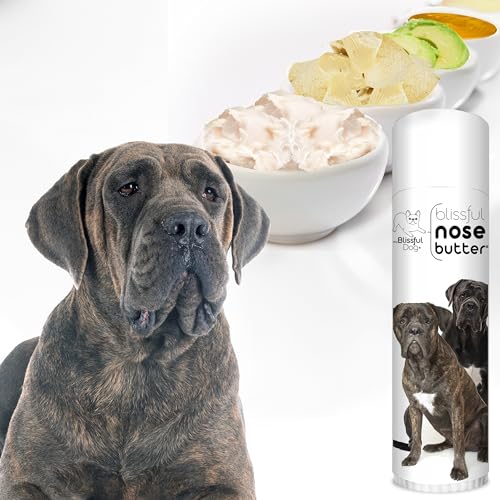 Image of The Blissful Dog Cane Corso Nose Butter for Dry, Cracked Skin, Lick-Safe Dog Nose Balm with Moisturizing Shea Butter, Almond, Olive, and Essential Oils, Pet Supplies, Uncented, 0.50 oz.