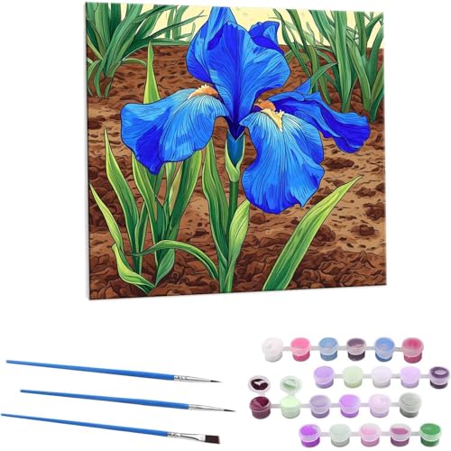  G Paint by Numbers hG Lbg l ʂ肦 lphGLoXNtg  LoXA[g uVƃANG̋, ItBX CeA rO, ւ̃Mtg 80x80cm (t[