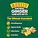 Reed's, Extra Ginger Beer, Great Tasting All Natural Craft Ginger Beer with Fresh Ginger Root (12oz Can, 24 Pack)