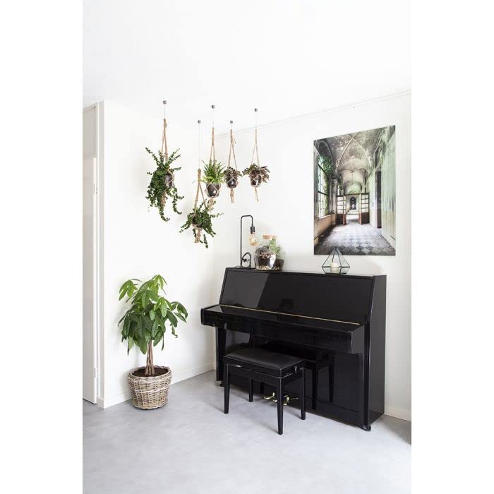 Image of STAS qubic + Steel Cable 98.43 inch + STAS Zipper - Single Point Hanging System for wall or Ceiling