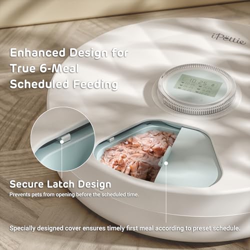 Ipettie Brioche Automatic Wet Food Feeder For Pets - True 6-Meal Cordless Fresh Can Dispenser With Two Ice Packs, Perfect For Newborn Senior Sick Cats And Small Dogs thumb #1