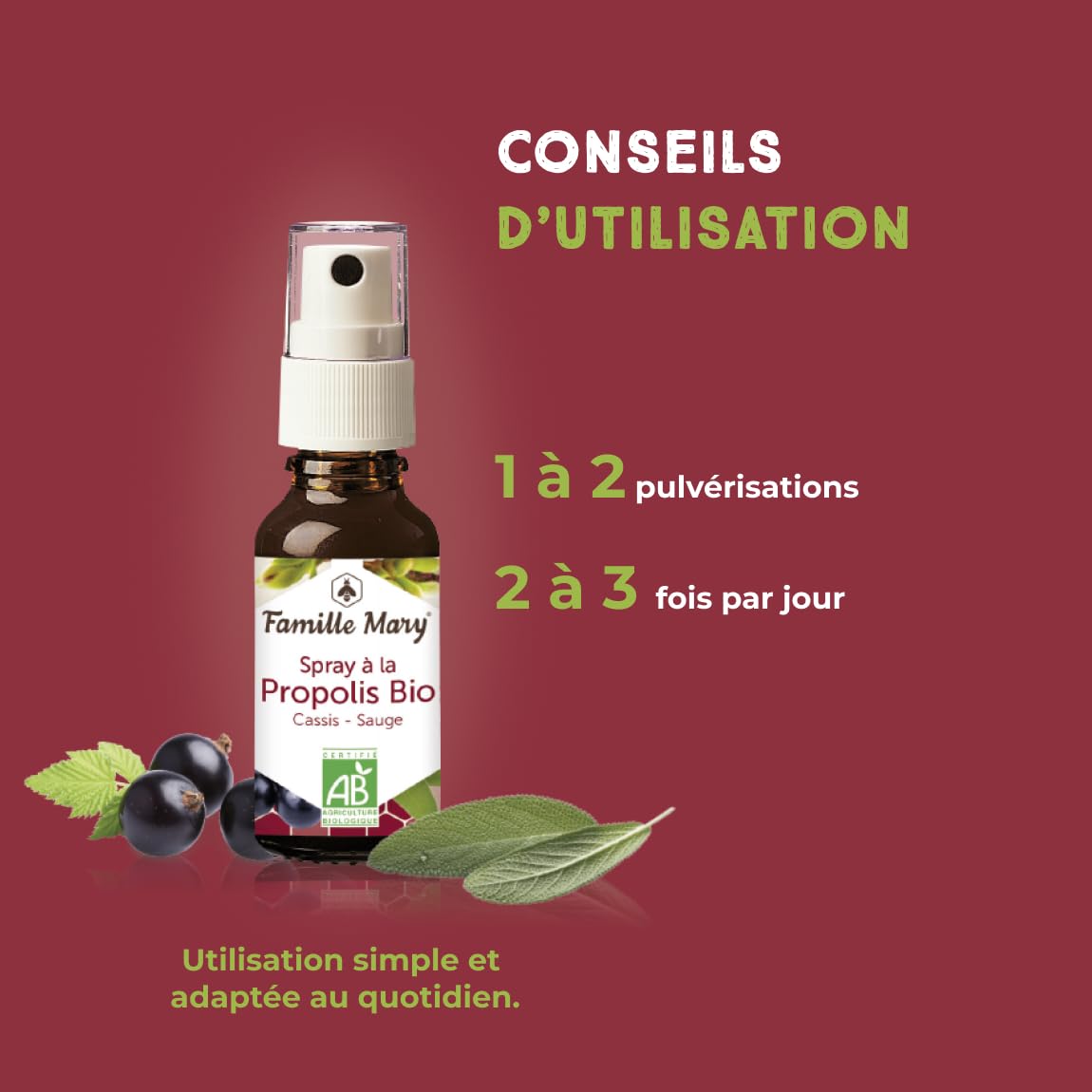 FAMILLE MARY | Spray à la Propolis Bio | Hygiène Buccale & Bien-Être de la Gorge | Sans Colorant | Flacon Spray Pratique pour Usage Quotidien | 20 ml