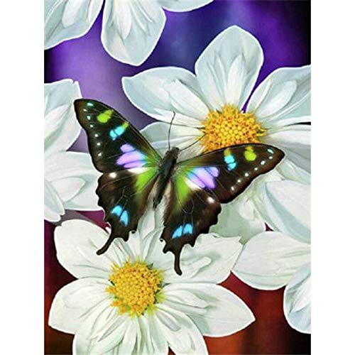 T-YIFUZX 5D DIY Hermosas Flores de Mariposa Kit de Pintura de Diamante por número Bordado de Diamantes de imitación de Punto de Cruz para Manualidades Lienzo Decorativo para Pared 30x40cm