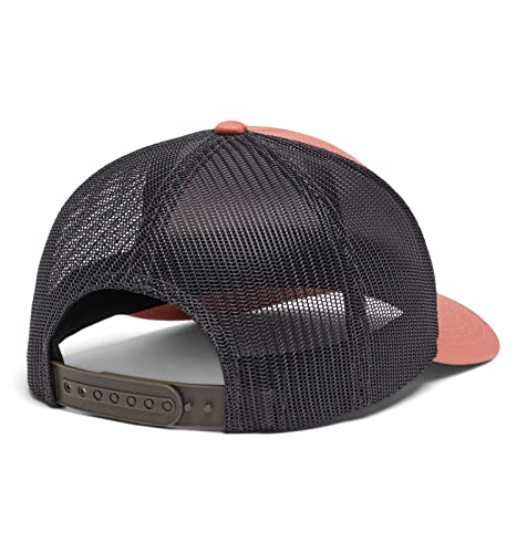 Image of Columbia Unisex Adult PFG Logo Mesh Ball Cap