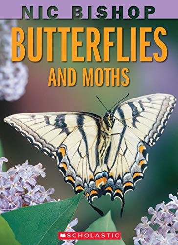 Nic Bishop: Butterflies and Moths 054520724X Book Cover