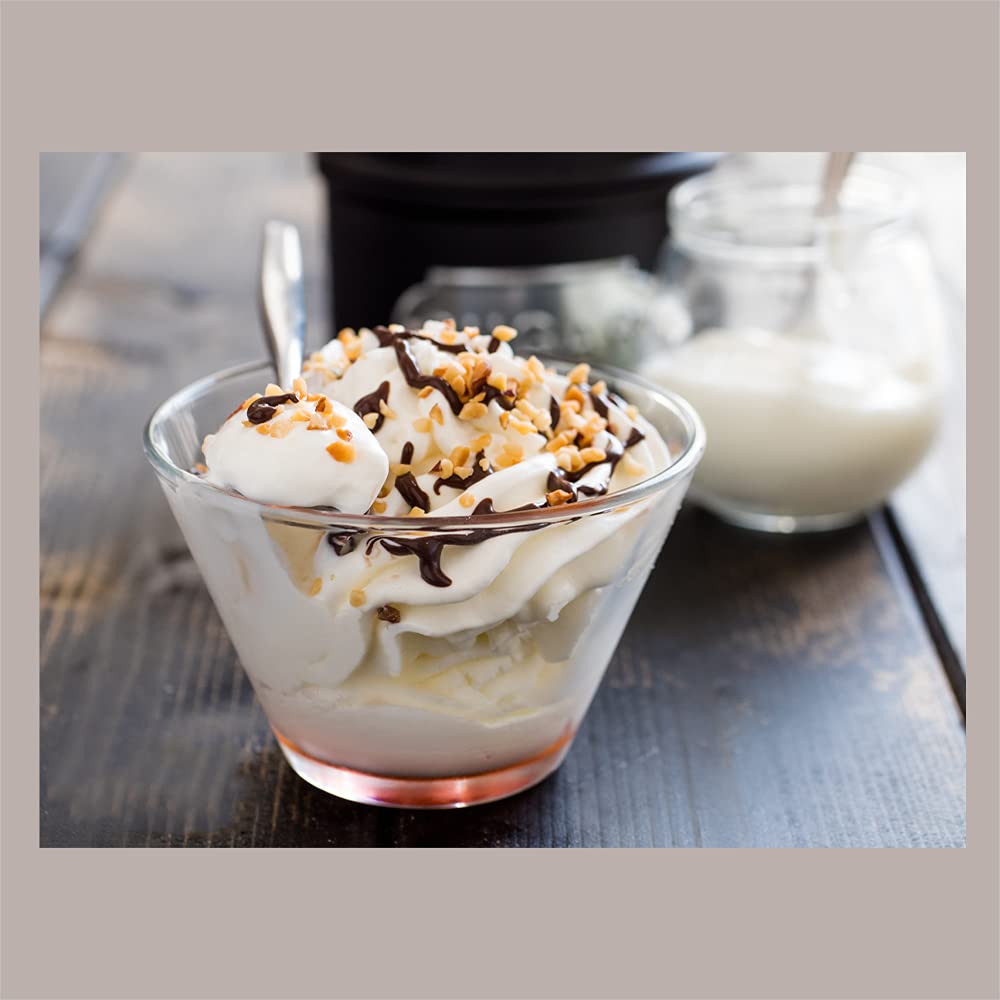 Leagel preparado en polvo para helado Easy Yogurt con fruta 1,2 kg