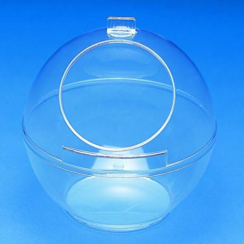 Samolus Display Globe by VKF Renzel