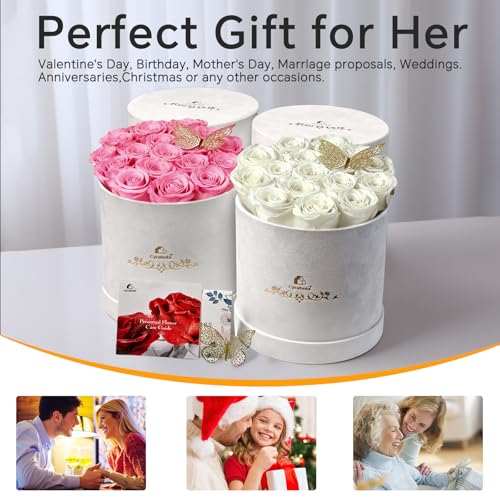 16 Preserved Roses in a Box, Preserved Flowers Gifts for Women, Forever Flowers for Delivery, Flower Birthday Gifts Box for Her, Mothers Day Rose Gifts for Mom, Sweet Pink - Image 7