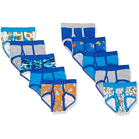Hanes Toddler Boys' Dinosaur Printed Briefs, 10-Pack Cover