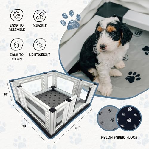 Image of EZwhelp EZclassic Windowed Dog Whelping Box with Rails, Medium 38 inchx38 inchx18 inch