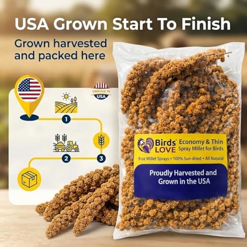 9 oz Spray Millet for Birds – GMO-Free, No Stems (Only Edible Tops) – 100% Natural Sun-Dried Foraging Treat for Cockatiels, Lovebirds, Parakeets, Finches & Canaries - Image 4