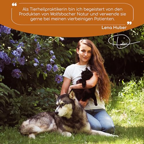 Gelenktabletten für Hunde als Snack | 140 Leckerlis mit Grünlippmuschel & MSM | Gelenkschutz, Knorpelpflege & Knochenaufbau | Natürliche Zutaten unterstützen Gelenke und Knochen