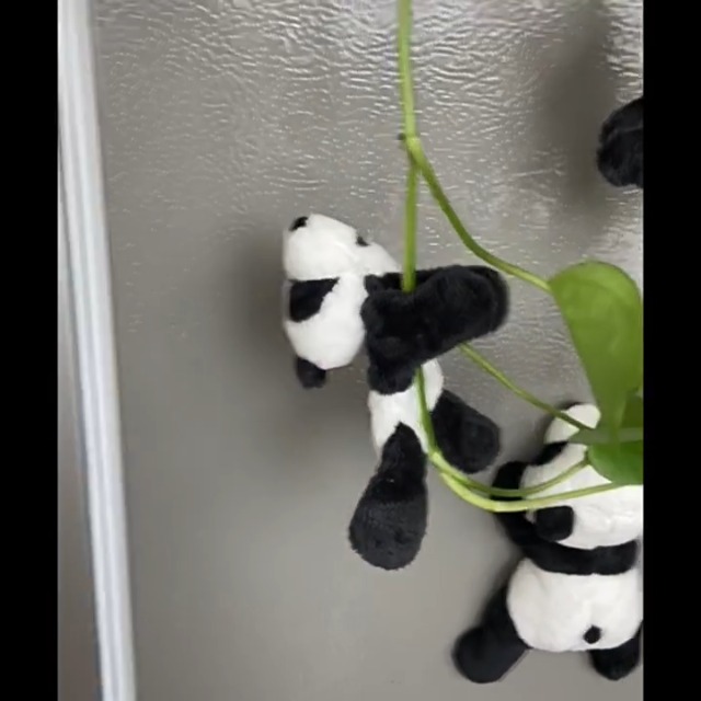 Amazon.co.jp: Homilius 冷蔵庫マグネット パンダ 6個セット 関節