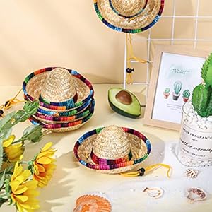 Tudomro 20 pieces dog sombrero hat mini sombrero hat dog mexican costume pet straw hat for small pets puppy cat chihuahua decorationvivid style   cucciolini doodles