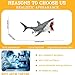 AENIMELY Realistic Megalodon Shark Toy – Movable Jaw Ocean Animal Figurine for Kids – Educational Sea Life Model, STEM Learning Gift, Shark Display Decor