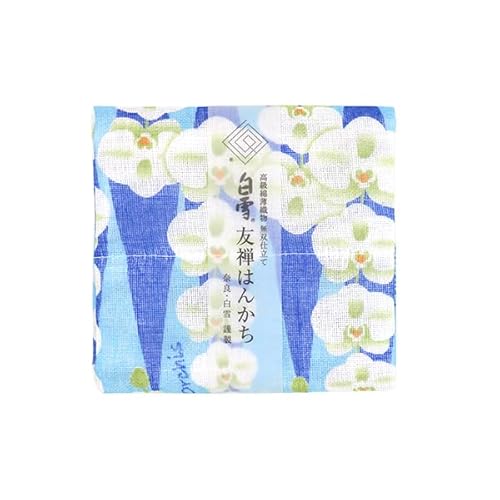 ӂ FT͂񂩂/fB[X LbY FT o[Vu 炩 ӂӂ GKg K[[ ᒠn { 100 30×30cm (Ӓ^u[)
