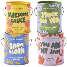 Modern Sprout Complimentary Color Grow Kits Pack of 4 - Gift for Plant Lovers - Seed Starter Kit - Includes Organic Strawberry Tomato Sunflower & Cactus Seeds - Gardening Gifts that Grows with Love