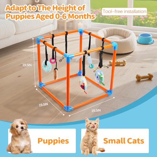 Liitrton Puppy Play Gym for Small Dogs with 8 Hanging Toys, Orange by Liitrton - Used condition - Image 2