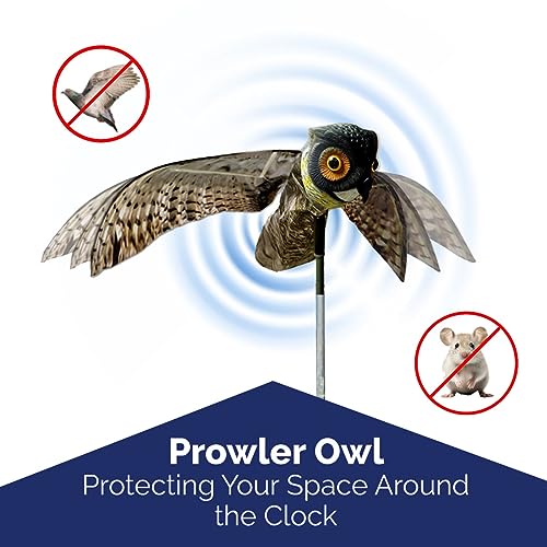 image for Bird-X Prowler Owl, Lifelike Owl Decoy with Glassy Eyes and Moving Win