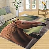 SANSJI Pferdedecke und Heimdekoration, 180 x 270 cm, für Wohnzimmer, Schlafzimmer, Bauernhaus-Teppich, waschbar, rutschfest, weich, Niederflorteppich