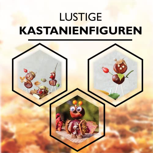 Kastanienbohrer Set I Inklusive Bastel PDF I 5x Handholzbohrer mit Griff für Kastanien als Nagelbohrer, Handbohrer Set, Bastelset, Holzbohrer I Basteln mit Kastanien Kinder