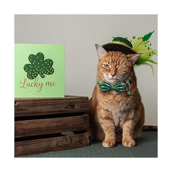 Boombone 2 pack st patricks day cat collar breakaway,safety adjustable collars with bell for kitten - image 6