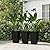 Outsunny Set of 3 Tall Planters with Drainage Hole, 24" Outdoor Flower Plant Pots, Indoor Planters for Porch, Front Door, Entryway, Patio and Deck