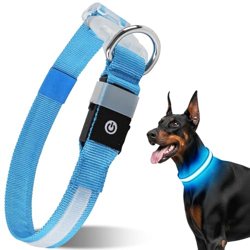 Collier LED pour chien rechargeable bleu taille M réglable doux