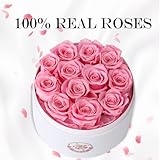 Zoom IMG-1 dekun12 rose eternali rosa eterna
