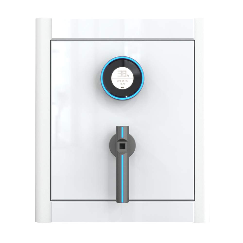HYYQG Security Safe, Biometric Fingerprint Security Safe Led Display Smart Keypad Key Lock Protect Guns Jewelry Cash Ideal for Home Office Hotel