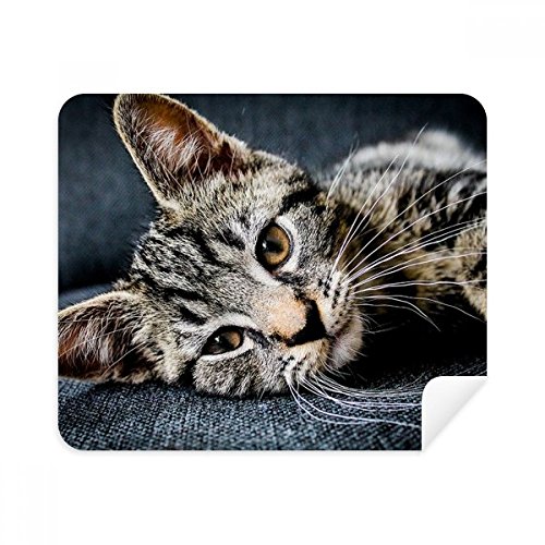 Chiffon lunettes chat mignon pour nettoyer l'écran du téléphone au bureau ou en voyage