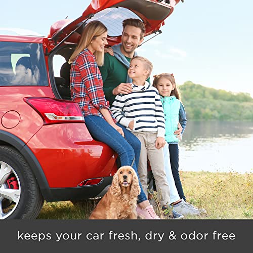 Moso Natural Air Purifying Bag. A Scent Free Odor Eliminator For Cars, Trucks And Suvs. Premium Moso Bamboo Charcoal Odor Absorber. (Linen) #TOP3