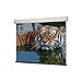 Draper, INC. Draper, Inc. 206113 161 in Diag 16X9 Mw Xt1000e