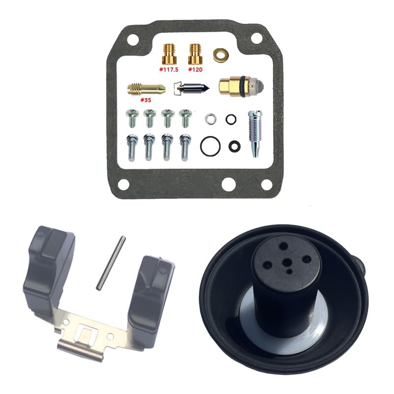 Kit de reparación de carburador para AG200 (1993-2012) de 200cc con flotador y émbolo