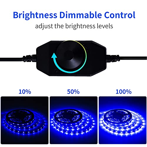 Blue Led Lights,Marreal Blue Rope Lights Touch Dimmer,Flexible Super Bright 12V Flat Led Strip 3528-Led 20Ft 360 Led Strip Lights Cuttable Lighting Diy Jewelry Shops,Christmas,Bedroom,Mirror, Ceiling #TOP3