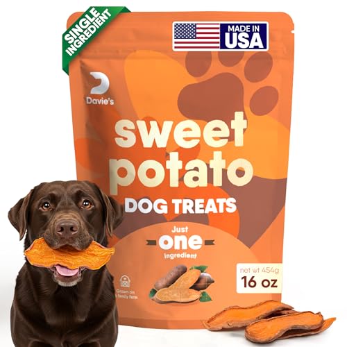 Davie's Sweet Potato Dog Treats - Healthy, Natural Dog Chews, Low Fat, 1 lb. Bag